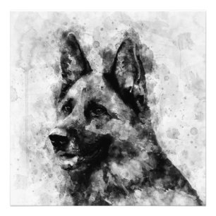 ドイツの羊飼い犬の白黒の水色 フォトプリント