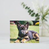 ドイツの羊飼い犬はがき ポストカード (スタンド正面)