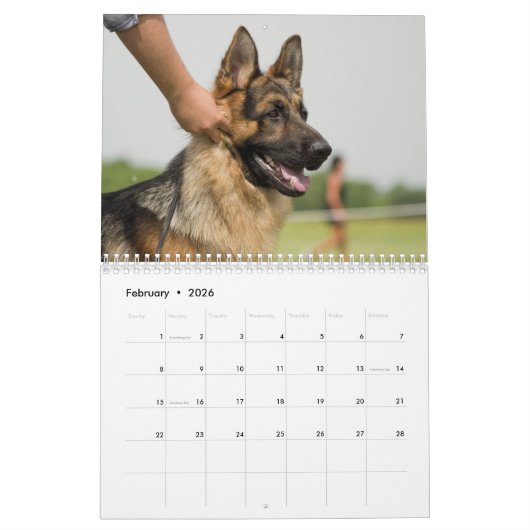 ドイツの羊飼い犬暦 カレンダー (2月 2026)