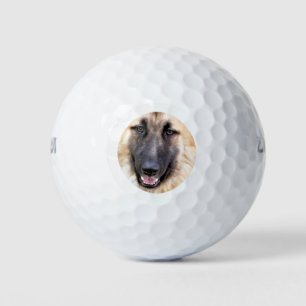 ドイツの羊飼い犬 ゴルフボール