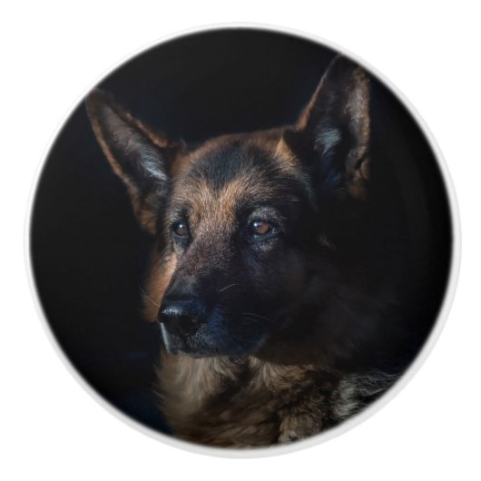 ドイツの羊飼い犬 セラミックノブ (正面)