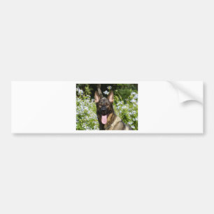 ドイツの羊飼い犬 バンパーステッカー