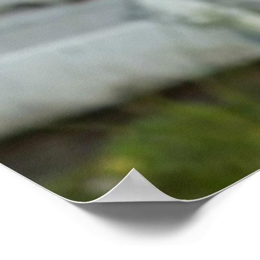 ドイツの羊飼い犬 ポスター (角)