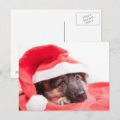 ドイツの羊飼い犬 ポストカード (正面/裏面)