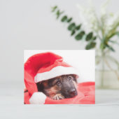 ドイツの羊飼い犬 ポストカード (スタンド正面)