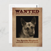 ドイツの羊飼い犬 ポストカード (正面/裏面)