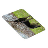 ドイツの羊飼い犬 マグネット (右側)