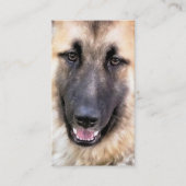 ドイツの羊飼い犬 名刺 (正面)