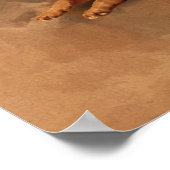 ドイツの羊飼い犬 – 子犬、若い、大人 ポスター (角)