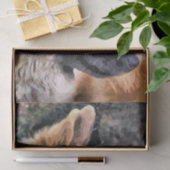 ドイツの羊飼い犬 薄葉紙 (ギフト)