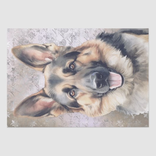 ドイツの羊飼い犬 薄葉紙 (正面)