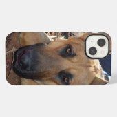 ドイツの羊飼い猫の昼寝、iPhone 13ケース iPhoneケース (裏面横)