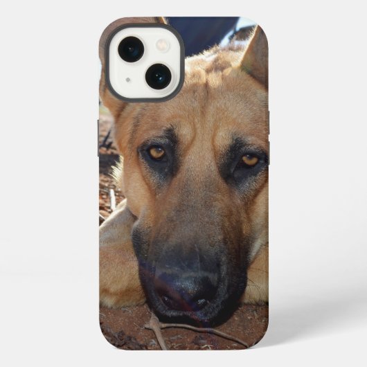 ドイツの羊飼い猫の昼寝、iPhone 13ケース iPhoneケース (裏面)