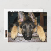 ドイツの羊飼い絵葉書 ポストカード (正面/裏面)