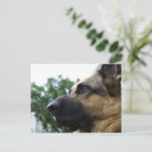 ドイツの羊飼い葉書 ポストカード (スタンド正面)