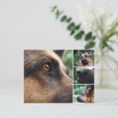 ドイツの羊飼い葉書 ポストカード (スタンド正面)