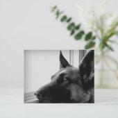 ドイツの羊飼い葉書 ポストカード (スタンド正面)