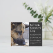 ドイツの羊飼い葉書 ポストカード (スタンド正面)