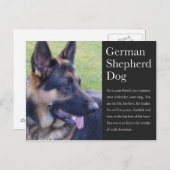 ドイツの羊飼い葉書 ポストカード (正面/裏面)