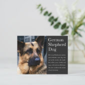 ドイツの羊飼い葉書 ポストカード (スタンド正面)