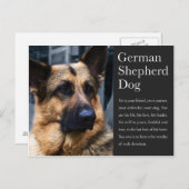 ドイツの羊飼い葉書 ポストカード (正面/裏面)