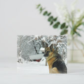 ドイツの羊飼い葉書 ポストカード (スタンド正面)