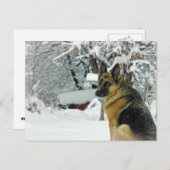 ドイツの羊飼い葉書 ポストカード (正面/裏面)