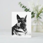 ドイツの羊飼い葉書 ポストカード (スタンド正面)