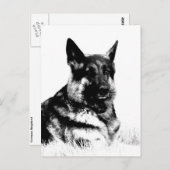 ドイツの羊飼い葉書 ポストカード (正面/裏面)