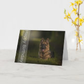 ドイツの羊飼い誕生日カード カード (黄色い花)