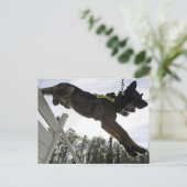 ドイツの羊飼い警察犬の訓練 ポストカード (スタンド正面)