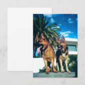 ドイツの羊飼い集団 サンキューカード (正面/裏面)