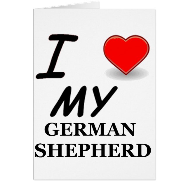 ドイツの羊飼い (正面)