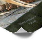 ドイツの羊飼い13 – ザアコレード ポスター (角)