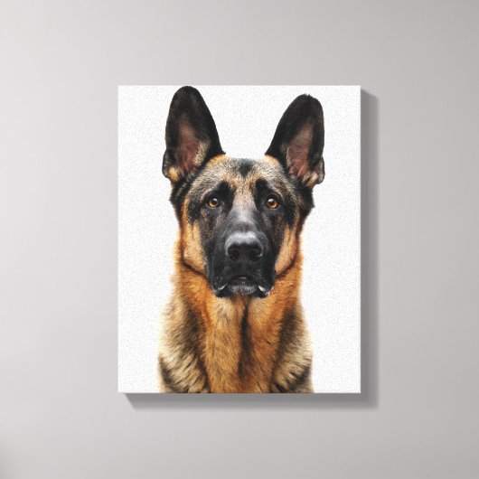 ドイツの羊飼い キャンバスプリント (正面)