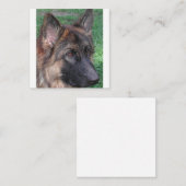 ドイツの羊飼い ノートカード (正面/裏面)