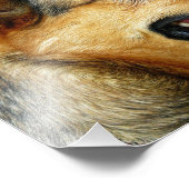 ドイツの羊飼い フォトプリント            (角)