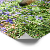 ドイツの羊飼い ポスター (角)