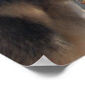 ドイツの羊飼い/景色を楽しむ ポスター (角)