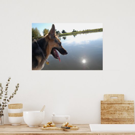 ドイツの羊飼い/景色を楽しむ ポスター (キッチン)