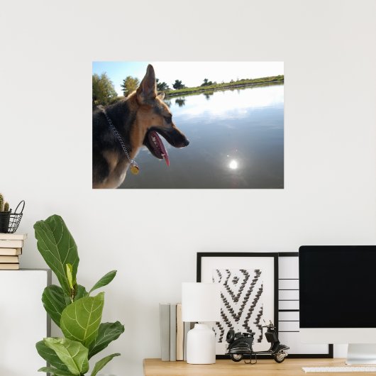 ドイツの羊飼い/景色を楽しむ ポスター (ホームオフィス)