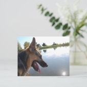 ドイツの羊飼い/景色を楽しむ ポストカード (スタンド正面)