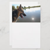 ドイツの羊飼い/景色を楽しむ 便箋 (正面/裏面)