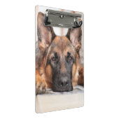 ドイツの羊飼い/犬の写真 ミニクリップボード (アングル)