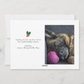 ドイツの羊飼食べい眠る写真のメリークリスマス シーズンカード (裏面)