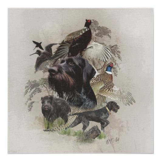 ドイツの金髪のポインタ、大陸指示 ポスター (正面)