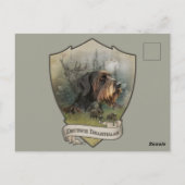 ドイツの金髪ポインタ、ボア狩り ポストカード (裏面)