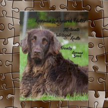 ドイツの長毛ポインタージグソーパズル