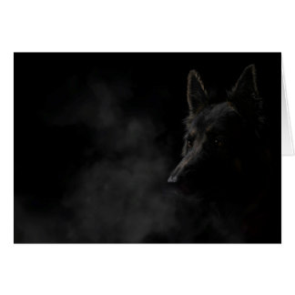 ドイツの隠し犬