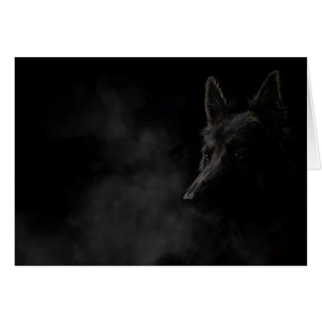 ドイツの隠し犬 (正面横)